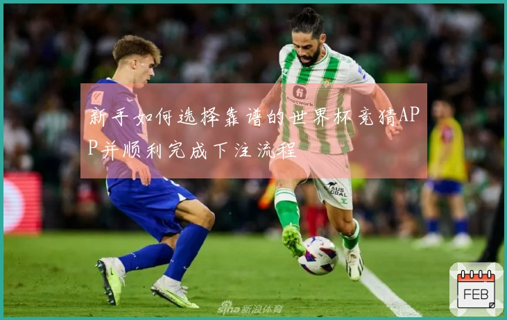 新手如何选择靠谱的世界杯竞猜APP并顺利完成下注流程