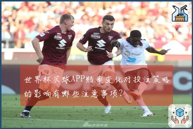 世界杯买球APP赔率变化对投注策略的影响有哪些注意事项？