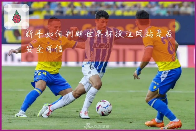 新手如何判断世界杯投注网站是否安全可信
